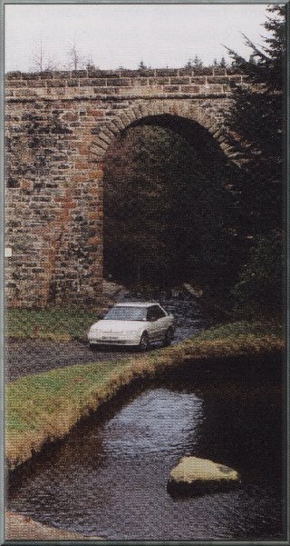 bpatrick1_320.jpg (66858 bytes)